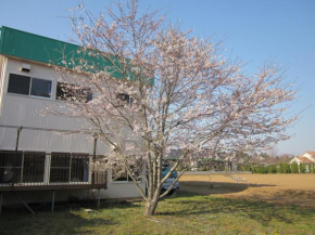 Narita Airport Hostel